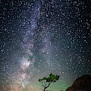 Lone Tree Under The Milky Way Poster