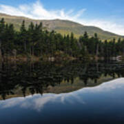 Lost Pond - White Mountains New Hampshire Usa Poster