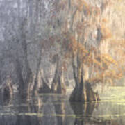 Louisiana Swamp Poster