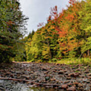 Mad River Autumn Colors Poster