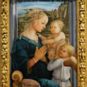 Madonna And Child Lippi The Uffizi Gallery Florence Italy Poster