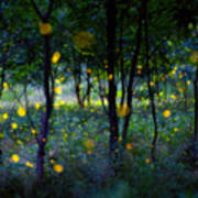 Magic Fireflies Poster