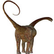 Malawisaurus Dinosaur Tail Poster