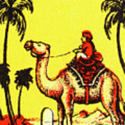 Man Riding A Camel Poster
