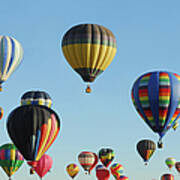 Many Multicolored Hot Air Balloons In Poster