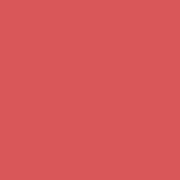 Medium Coral Solid Plain Color For Home Decor Pillows And Blanks Poster