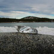 Melting Ice On A Rock At The Sea Poster