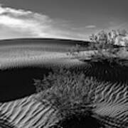 Mesquite Flats Sand Dunes In Black And White Poster