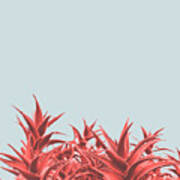 Minimal Contemporary Creative Design With Aloe Plant In Coral Co Poster