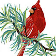 Modern Cardinal On Branch Ii Poster