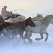 Mongolia Winter Poster