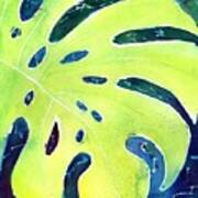 Monstera Tropical Leaves 3 Poster