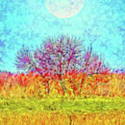 Moonlight Over Fields Of Gold - Boulder County Colorado Poster