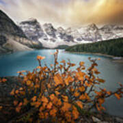 Moraine Lake In Autumn Poster