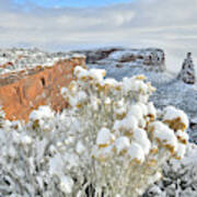 Morning After Snow At Colorado National Monument Poster