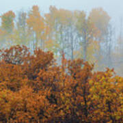 Morning Autumn Fog Poster