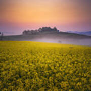 Morning On A Ranch With Rapeseed Flowers Poster