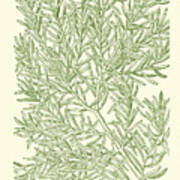 Mossy Branches I Poster