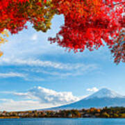 Mt Fuji In Autumn Poster