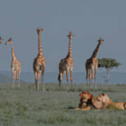 Nature And Harmony In African Poster