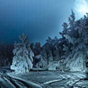 Nightly Landscape With Fir Forest Snow Poster