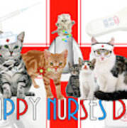 Nurses Day Cat Lover Or Vet Tech Poster