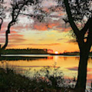 Oaks At Sunrise, Ochlockonee River, Ochlockonee River State Park, Florida Poster