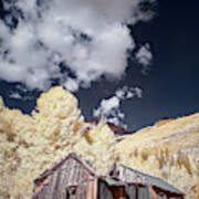 Old Shack In Colorado Poster