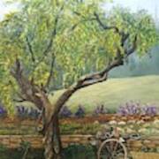 Olive Tree Harvest Poster