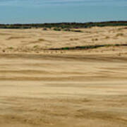 On The Dunes Poster