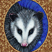 Opossum Portrait - Brown Border Poster