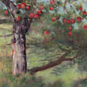 Orchard Apples Poster