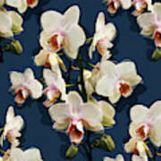 Orchids - On Dark Blue Poster