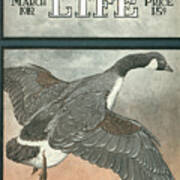 Outdoor Life Magazine Cover March 1912 Poster