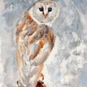 Owl Watercolour Painting Poster