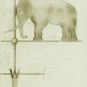 Pachyderm House, Philadelphia Zoo, Detail Of Weather Vane Poster