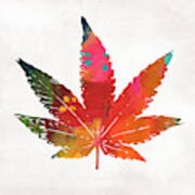 Painted Cannabis Leaf 1- Art By Linda Woods Poster
