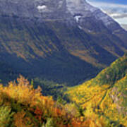 Palette Of Autumn In Glacier Poster