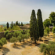Panorama Of San Gimignano Poster
