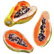Papaya Fruit Isolated On White Poster
