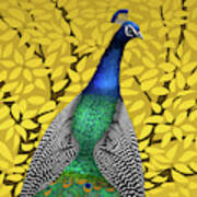 Peacock In Tree, Naples Yellow, Square Poster