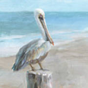 Pelican By The Sea Poster