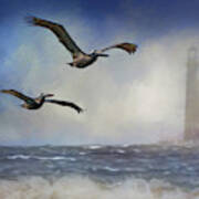 Pelican Storm Poster