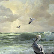 Pelicans In The Surf Poster