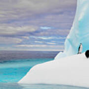 Penguins In Iceberg In Antarctica Pole Poster