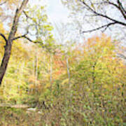 Pennypack Woods, Philadelphia Landmark, Autumn Poster