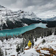Peyto Lake In Canada Poster