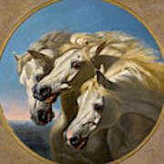 Pharaoh's Horses Poster