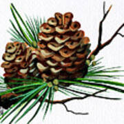 Pine Cone Copy Brochure Poster