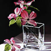 Pink Dogwood In A Square Vase Poster